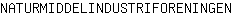 N***N