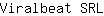 V***L