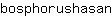 b***n