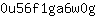 0***g