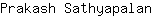 P***n