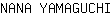 N***I
