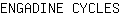E***S