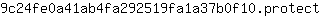 9***t