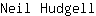 N***l
