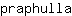 p***a