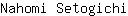 N***i