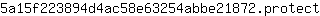 5***t