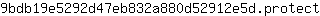 9***t