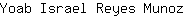 Y***z