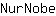 N***e