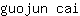 g***i