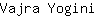 V***i