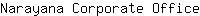 N***e