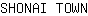 S***N