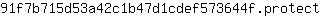 9***t