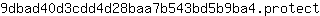 9***t