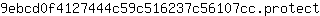 9***t