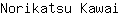 N***i