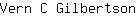 V***n
