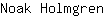 N***n