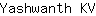 Y***V
