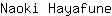 N***e
