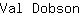 V***n