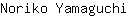 N***i