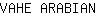 V***N
