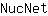 N***t