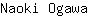 N***a