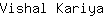 V***a