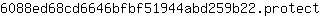 6***t