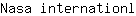N***l