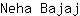 N***j