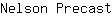 N***t
