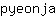 p***a
