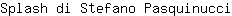 S***i