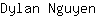 D***n