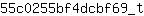 5***t