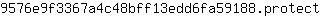 9***t