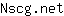 N***t
