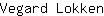 V***n