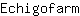 E***m
