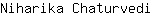N***i