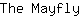 T***y