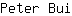 P***i