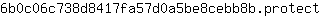 6***t