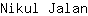 N***n